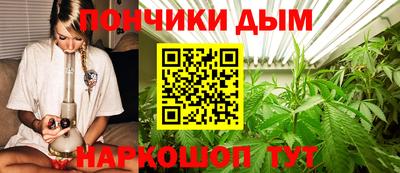 мдпв Шелехов